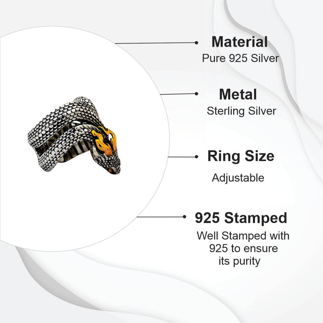 Azita 925 Sterling Silver Dragon Ring for Men and Boys with Certificate of Authenticity and 925 Stamp