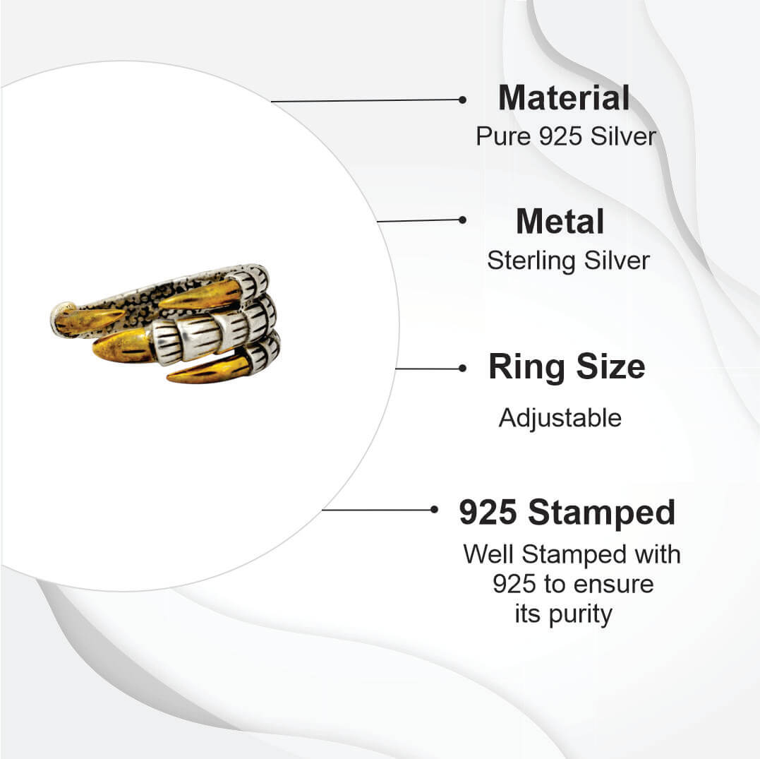 Azita 925 Sterling Silver Dragon claw Ring for Men and Boys with Certificate of Authenticity and 925 Stamp